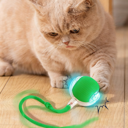 ✨Boredom Buster for Indoor Cats! Smart Band Wake-Up
