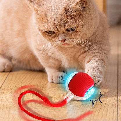 ✨Boredom Buster for Indoor Cats! Smart Band Wake-Up