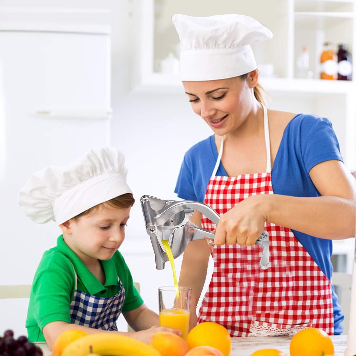 Aluminum Manual Hand Press Juicer