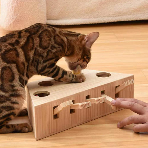 🐾 5-Hole Puzzle Play Toy for Cats