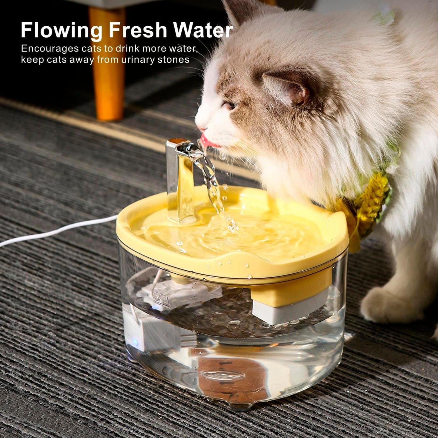 Pet Water Fountain for Cats Kitten Dogs