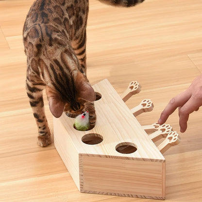🐾 5-Hole Puzzle Play Toy for Cats